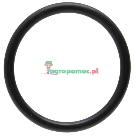 Fritzmeyer O-Ring | 127201