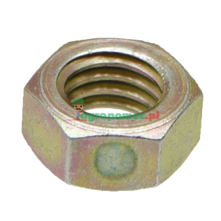 GRIMME Lock nut | 09900055