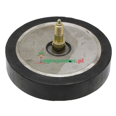 GRIMME Pick-up roller | 20005168