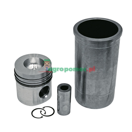 KS Piston set complete | 1806470C91, 3139591R96, B513019
