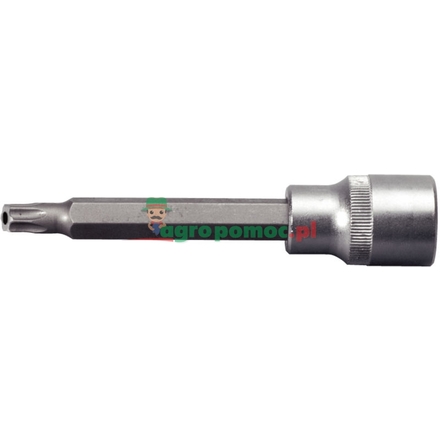 KS Tools TX bit socket, long, 1/2", TB25