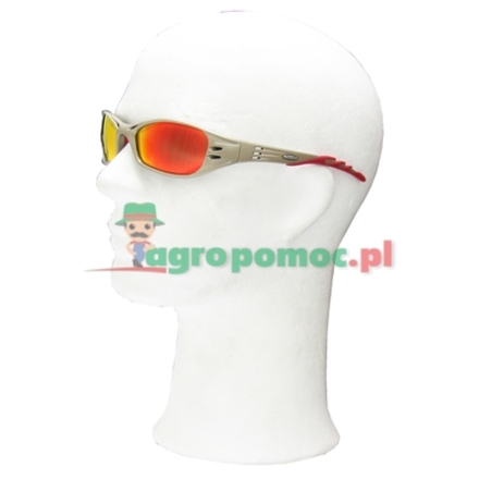 Peltor Safety glasses