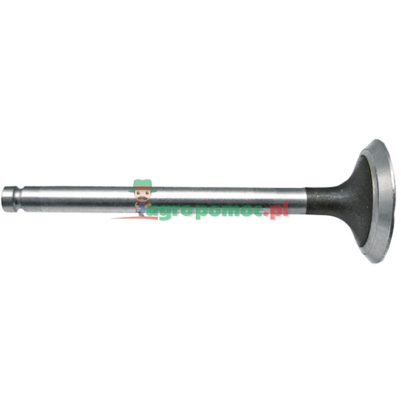 Perkins Exhaust valve