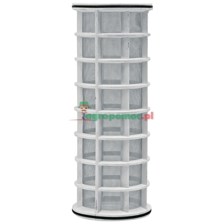 Rau Filter element | B2651178