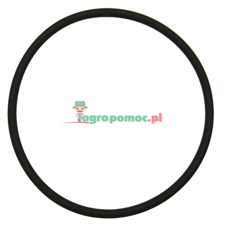 Rau O-ring | 00047512