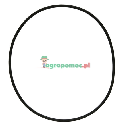 Rau O-ring | 00058723