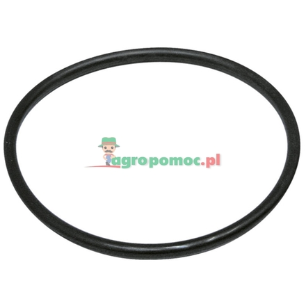 Rau O-ring | 00058725