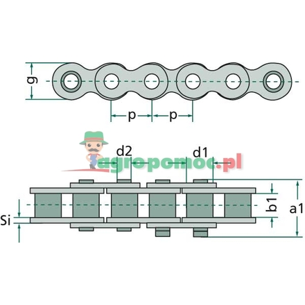 Rexnord Roller chain simplex