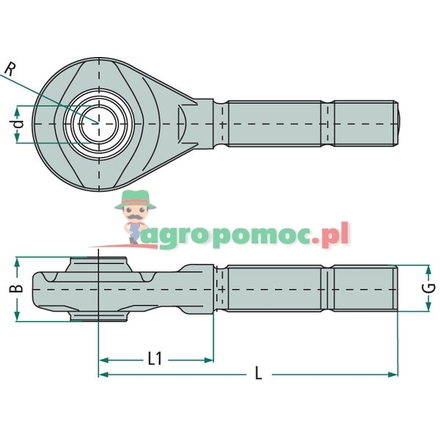 Walterscheid Ball joint | 308538