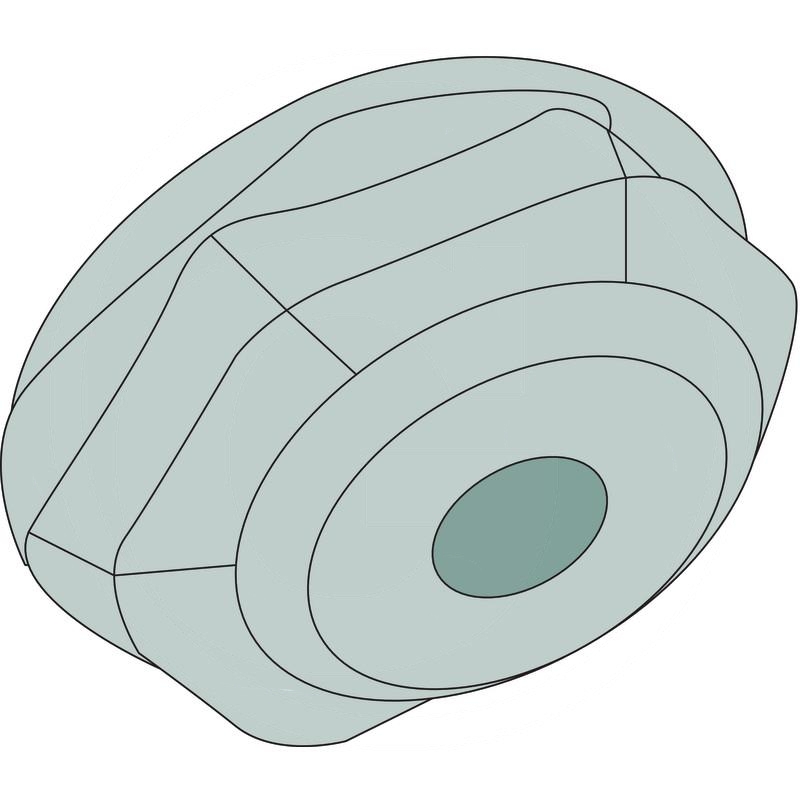 Gigant Axle nut (13809400555) Spare parts for agricultural machinery