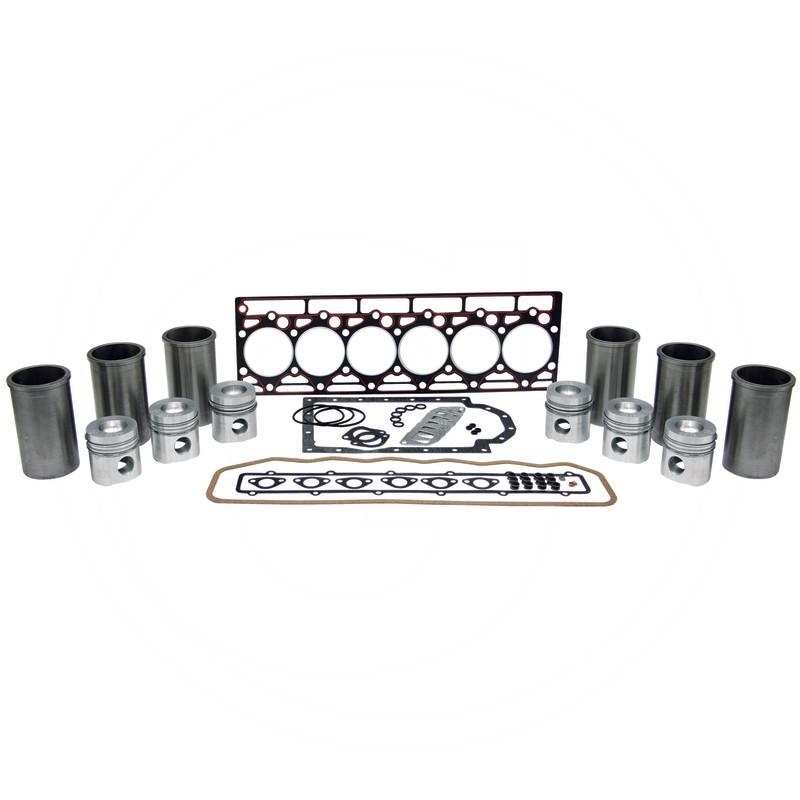 Engine repair kit (380002076) Spare parts for agricultural machinery