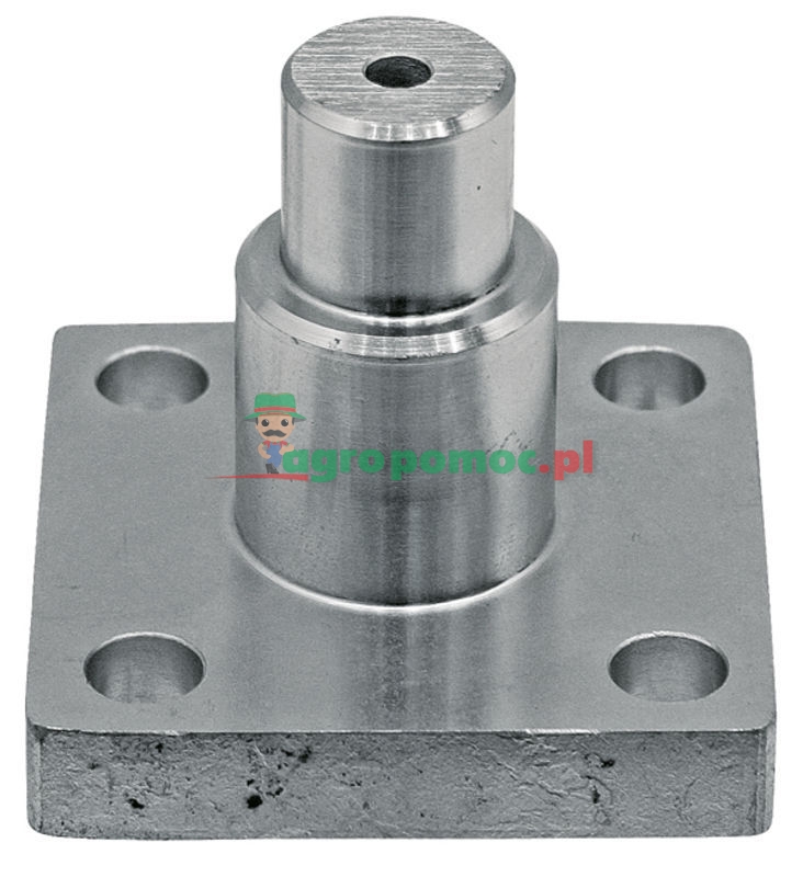 Pinner joints placesqust